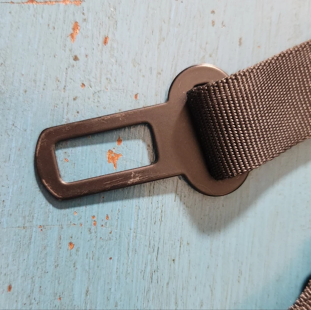 Pet Seat Belt
